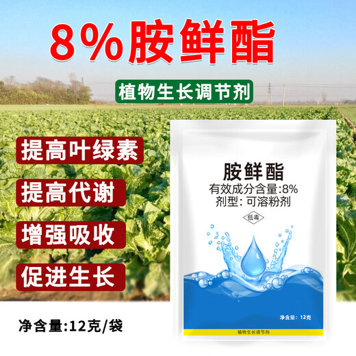 Runtian Baihu Official Genuine 8% Acetate Genuine Plant Growth Regulator Promotes Growth National Standard Wholesale 8% Acetate 12g*30 Bags