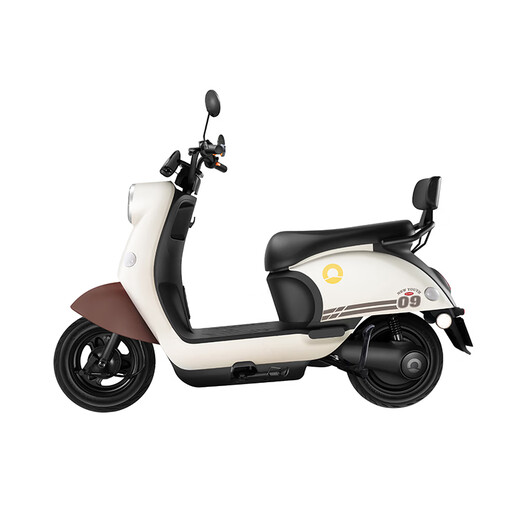 Sunra electric motorcycle Liman self-operated motorcycle 60v 5 lead-acid batteries 76km range large pedal electric car unisex battery car electric motorcycle brown