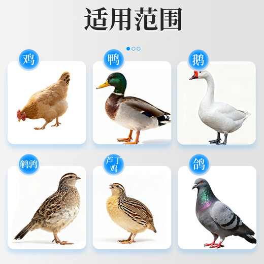 South China Qianmu (SOUTH RANCH) chicken feed, chicken feed, poultry mad growth hormone, weight increasing premix, chicken and duck meat appetizer feed additive, poultry mad growth hormone/1kg/bag