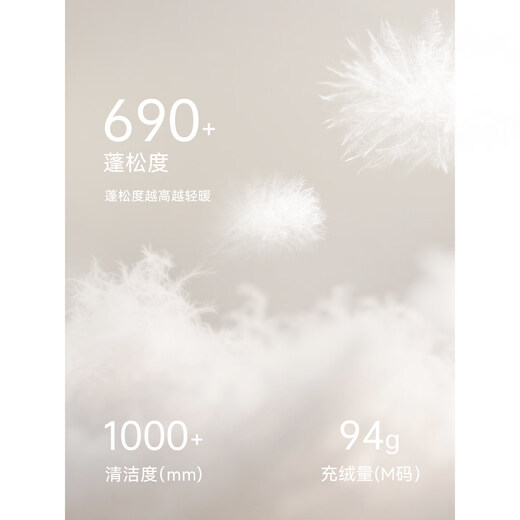 XWI Xinwei 90 White Duck Down Blue Down Jacket Women's 2025 Winter Hooded Slimming Not Bulky Warm Jacket Blue S