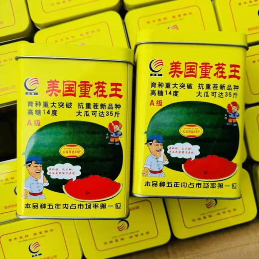 Spring Branch Rhyme American Double-cropped King Lazy Man King Watermelon Seed Super Sweet Extra Large Resistant Heavy-Stupped Watermelon Seed Field Base Special Seed Khakimetu 50g About 700 Tablets
