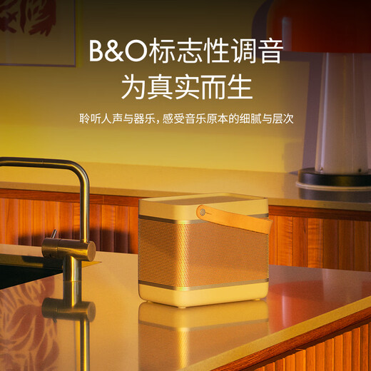 B&O Gong Jun endorses Beolit 20 Bluetooth speaker wireless charging outdoor portable portable B&O audio indoor desktop carbon black government subsidy New Year gift