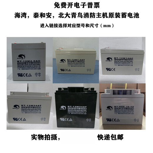 MDUG formal Gulf Taihean fire host battery Bluebird gas fire alarm controller backup battery BT-12M2.8AC12V2.8AH