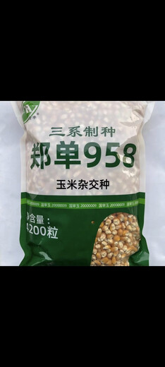 Hefeng three-line seed production Zhengdan 958 corn seed, high-yielding and disease-resistant farmhouse spring and autumn field hybrid corn (4200 grains) Hefeng Zhengdan 958