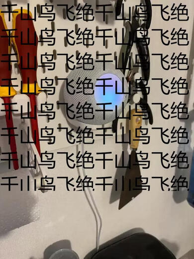 Yusenyi is suitable for IKEA SKADIS IKEA hole board accessories Apple homepod mini bracket white 1 layer white