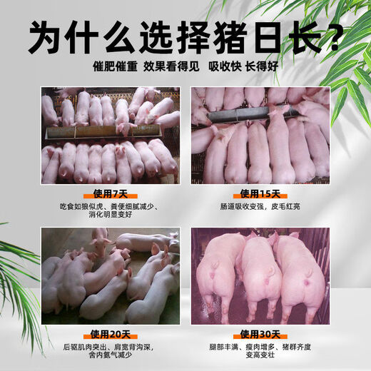 Pig day long pig fattening and fattening pig feed additive piglet piglet fattening agent pig premix, buy 20 bags and get 5 bags, real hair 25 bags