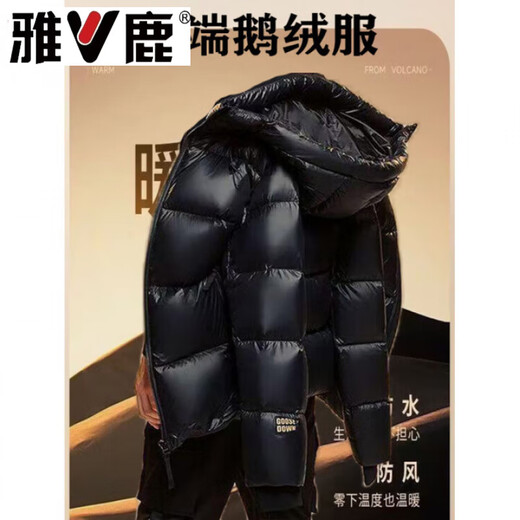 Yalu Black Gold Five-Check Goose Down Jacket Men's Winter Short Jacket Large Size High-end Fashion Brand Jacket S (80-100Jin Jin is equal to 0.5kg)