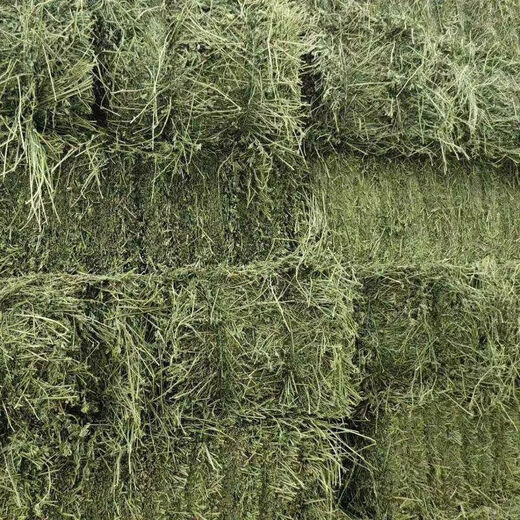 Alfalfa hay, fodder for cattle, sheep and horses, alfalfa fodder for alpacas, large zoo feed, alfalfa 50kg