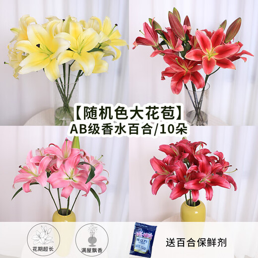 AB grade high-quality perfume lily flowers, hydroponic flower arrangement, home life water-raised fresh-cut roses from Yunnan, straight hair, high quality, AB grade random color large buds, 10 lilies + preservative