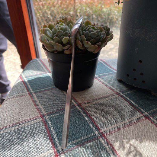 Fantasy retro Rome export 304 stainless steel creative spoon coffee spoon drinking spoon outdoor spoon male spoon meal spoon single