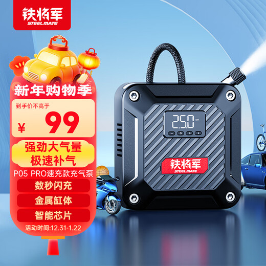Iron General Car Air Pump Car Tire Pump Electric Bicycle Air Pump Pump P05pro