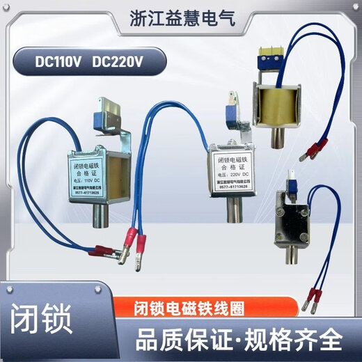 VS1/ZN63 indoor high voltage vacuum circuit breaker locking electromagnet pull-in coil DC DC110V220V without micro-movement DC110V solid