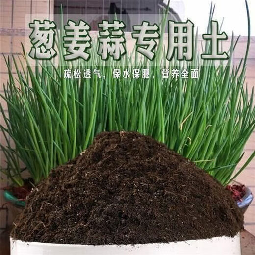 Onion, ginger, garlic, universal soil, flower and vegetable nutrient soil, nursery soil, flower golden kudzu special organic soil fertilizer, vegetable nutrient soil 20Jin Jin is equal to 0.5 kg