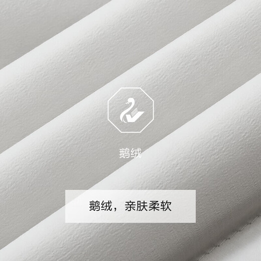 Jiumuwang counter model - high-quality goose down classic stand-up collar lightweight rib down jacket winter soft-pressed men's shopping mall same model beige slim version AK5DW2527 4XL 185/108B (56) down filling capacity 99.0g