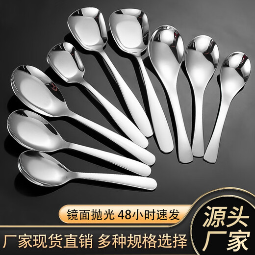 WANIOT304 stainless steel spoon Internet celebrity Earl spoon household rice spoon children's dessert spoon hotel spoon palace spoon 304 Earl large silver thick section