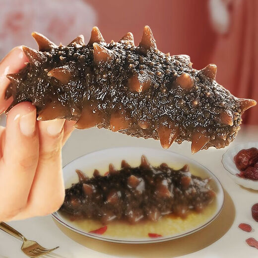 Sea cucumber, ready-to-eat sea cucumber single pack, Dalian fresh sea cucumber single pack, 500g seafood holiday gift box, ready-to-eat sea cucumber 31-50 pieces/Jin Jin equals 0.5 kg