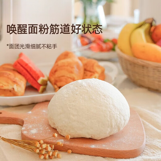 Yingtang Germany imported high-quality fully automatic noodle machine 24 eighth generation multi-functional noodle pressing and noodle integration upgraded version fruit green