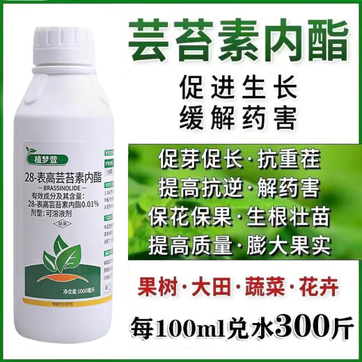 Genuine 28 epibrassinoids, internal lipids, rooting and strengthening seedlings, plants to regulate growth and increase yields, foliar fertilizers, pesticides, whole box wholesale, brassinoids 500g