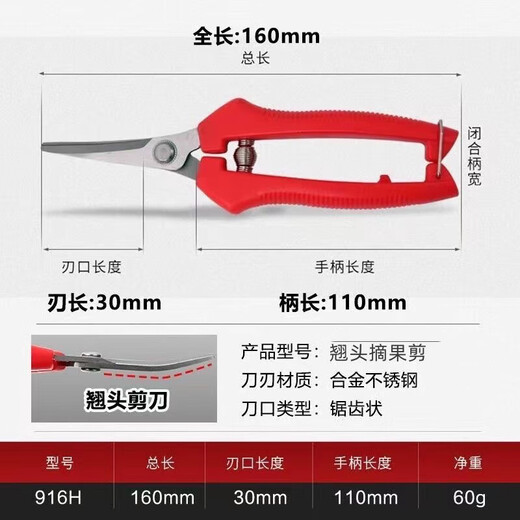 Stainless steel large tilt-head fruit picking scissors for tomatoes, navel oranges, picking scissors for oranges and grapes 10 with serrated teeth for sharper