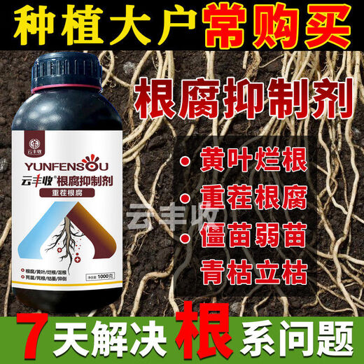 Yunfeng Harvest Root Rot Agent, Root Rot Nemesis, Yellow Leaves, Rotted Roots, Rotted Trees, Rooted Activated Soil, Factory Direct Sales, 1000g*12 Bottles, Exclusive Factory Price for Large Customers