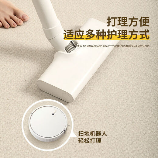 Japanese unprinted carpet living room new Chinese style study soundproof floor mat bedroom bedside sofa coffee table blanket no washable and wipeable loop pile + branch spring 140x200cm 2-person sofa universal upgrade thickening 0 formaldehyde