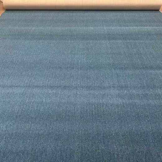 Wing Fantasy Office Billiard Hall Carpet Large Area Fully Covered Conference Room Exhibition Hall Hotel Workwear Live Broadcast Room Commercial Smoke Gray 4 Meters Wide x 25 Meters Long (Pumi)