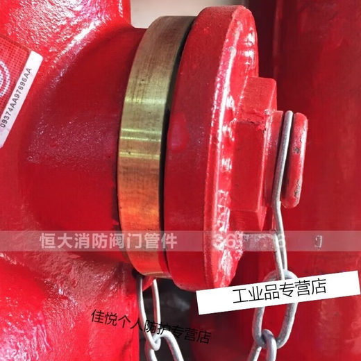 Outdoor fire hydrant accessories copper connector fire hydrant connector plug side cover tooth buckle water outlet cover accessories 100/ SN65 fire hydrant