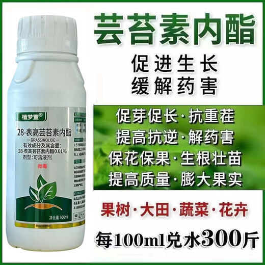 Genuine 28 epibrassinoids, internal lipids, rooting and strengthening seedlings, plants to regulate growth and increase yields, foliar fertilizers, pesticides, whole box wholesale, brassinoids 500g