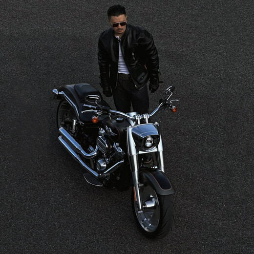 CHEVALPES international first-line brand high-quality Polish tea core horsehide venom leather jacket men's stand-up collar motorcycle jacket retro short tea core horsehide S