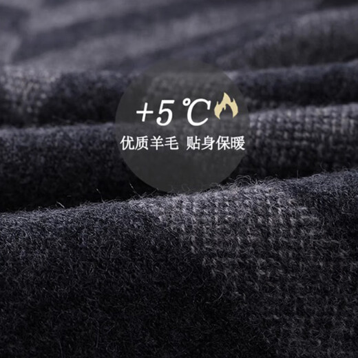 EGW international luxury brand 100% pure wool men's scarf winter 2025 new business warm gift scarf black gray gift box