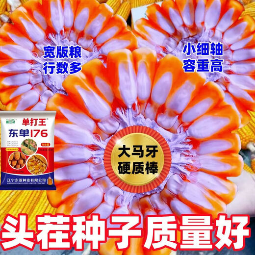 Оригинальная коллекция высокоурожайных семян кукурузы Wangyuanxing, устойчивая к болезням, устойчивая к полеганию, засухоустойчивая, устойчивая к затоплению, твердые палочки с большими конскими зубами, настоящие семена кукурузы, покупка по выгодной цене, 10 мешков семян, 11 акров земли, 30 Jin Jin равен 0,5 кг, высокоурожайный, одобренный на национальном уровне выбор короткостеблей Dongdan 176