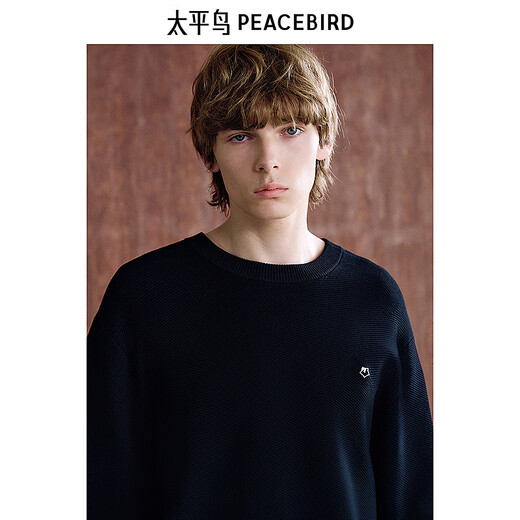 PEACEBIRD Men's Black Round Neck Sweater Winter Soft Knit Sweater B1EBE4242 Black 1 M
