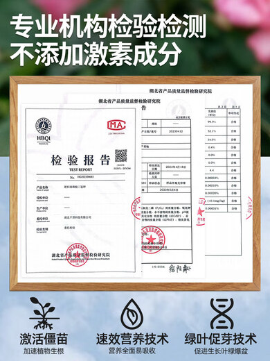 领沃磷酸二氢钾肥料花卉专用三角梅磷肥家用钾肥花肥盆栽正品农用爆花 磷酸二氢钾500g*4罐