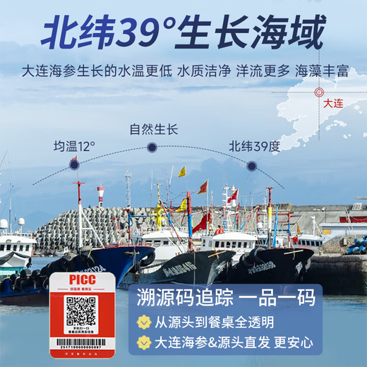 Daxiantian Dalian organic ready-to-eat sea cucumber 3Jin Jin is equal to 0.5kg / 16-21 solids exceeding 85% Liao sea cucumber nourishing gift box straight from the source