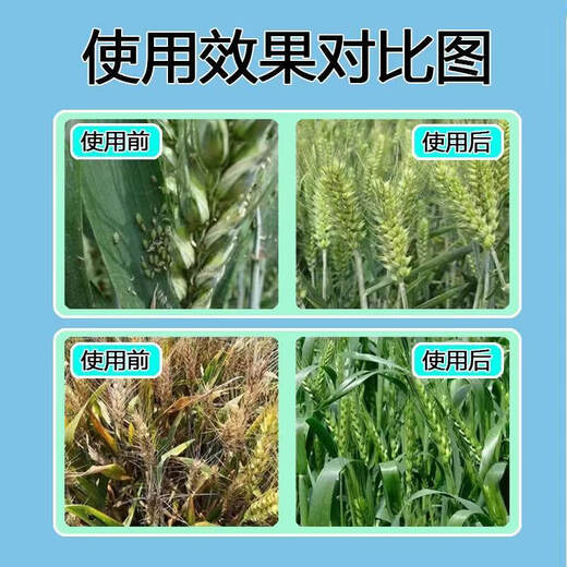 Wheat package, one spray, three preventions, wheat production increase, disease prevention, antibacterial, insecticide, anti-falling resistance, strong seedlings, increase production package, 10-in-1 (10 acres dosage)