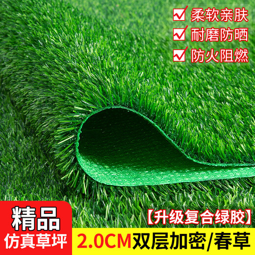 Simulated lawn carpet artificial artificial turf green outdoor decoration fake grass plastic mat balcony kindergarten 2 cm double layer encrypted spring grass 1 meter wide 2 meters long artificial cutting