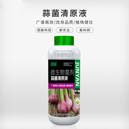 Garlic Bacteria Clear Original Liquid Garlic Agricultural Drug Rust Dry Tip Yellow Leaf Bacterial Wilt Root Rot Bactericidal Bactericidal Microbial Agent 500g*1 Bottle