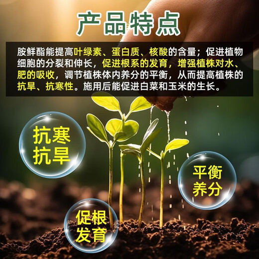 Quanfeng Fulcrum 8% Aminobutyl Citrate Plant Regulates Growth of Tomato Tomatoes Increases Production of Aminobutyl Ester 100g 10 Bottles 88