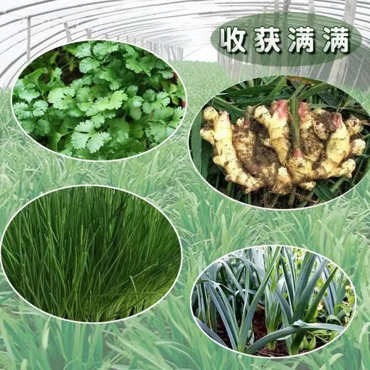 Onion, ginger, garlic, universal soil, flower and vegetable nutrient soil, nursery soil, flower golden kudzu special organic soil fertilizer, vegetable nutrient soil 20Jin Jin is equal to 0.5 kg