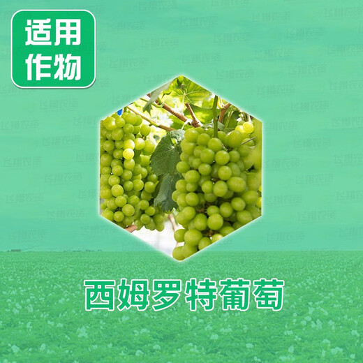 Guowang clofenuron seedless grape simrot expanding agent to increase fruit setting rate and growth regulator 200ml