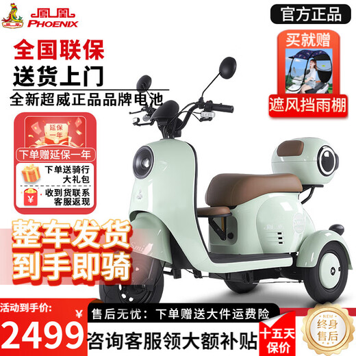 Phoenix Beetle Electric Tricycle Home Small Elderly Walking Electric Vehicle Electric Three-Wheeled Elderly Leisure Battery Vehicle 600W丨48V12A Lead Acid + Battery Life About 25 Kilometers