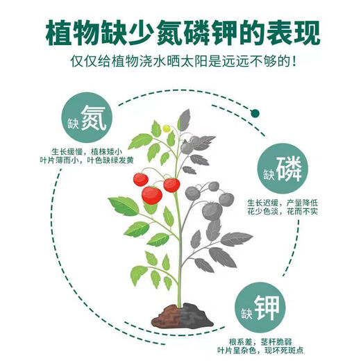 Compound fertilizer imported from Norway, water-soluble compound fertilizer for vegetable farming, 100 Jin Jin equals 0.5 kg, general compound fertilizer 50 Jin Jin equals 0.5 kg, fully water-soluble imported compound fertilizer (delivered in original packaging)