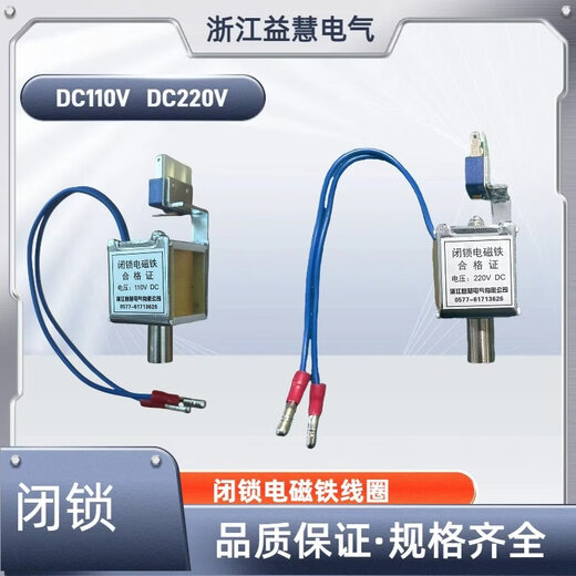 VS1/ZN63 indoor high voltage vacuum circuit breaker locking electromagnet pull-in coil DC DC110V220V without micro-movement DC110V solid