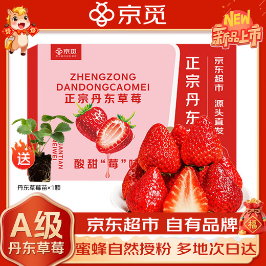 Jingmi Dandong Strawberry 99 Beauty Cream Fruit Gift Box Fresh Fresh Net Weight 2Jin Jin is equal to 0.5kg, single fruit 30g + straight from the source
