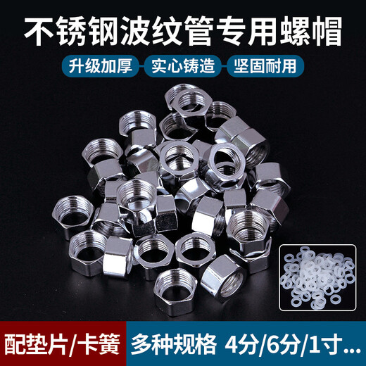 Wing Fantasy 304 stainless steel bellows nut 4 points 6 points 1 inch special nut gas water heater water inlet pipe threaded joint 4 points electroplated steel cap (with 16 tubes) 50 pieces (50 pieces free gaskets) no card