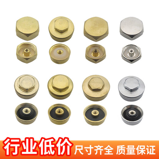 Qiaobolai electric water heater sewage outlet nut brass nut 4 points 5 minutes 6 minutes 8 minutes 1 inch screw waterproof cap magnesium rod accessories 4 points M4 brass cap sewage outlet magnesium rod special
