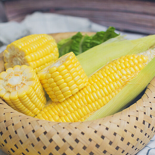 Jingxijia freshly picked golden fruit corn, fresh corn on the cob, popped sweet corn, crispy, sweet, and delicious corn, with box 1Jin Jin is equal to 0.5kg (single root 300g+)
