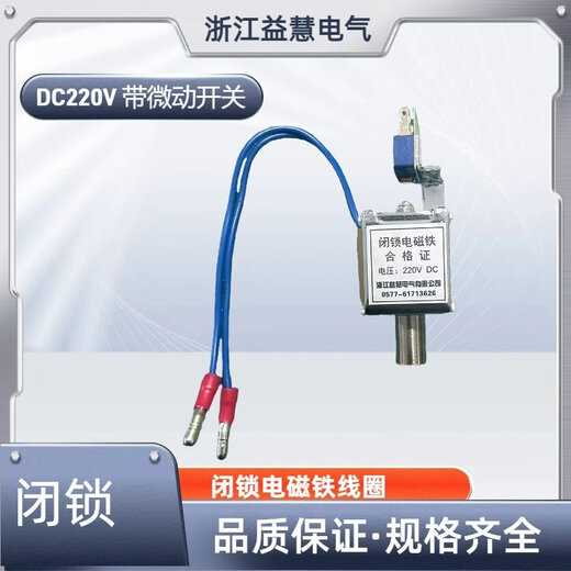 VS1/ZN63 indoor high voltage vacuum circuit breaker locking electromagnet pull-in coil DC DC110V220V without micro-movement DC110V solid