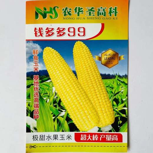 Large area sowing black and white yellow color sweet plus waxy super sweet fruit corn high yield and early maturity wholesale Mitiannuo No. 2 1 Jin Jin is equal to 0.5 kg