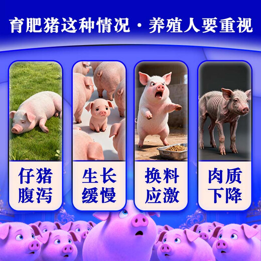 ELLHOPE 5% piglet compound premixed feed for pigs wholesale intestinal health bone development 20kg can be mixed with 800Jin Jin is equal to 0.5kg Piglet 5% premixed feed 40Jin Jin is equal to 0.5kg /1 bag Mixing 800Jin Jin is equal to 0.5kg